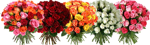 Bouquets de roses multicolores, roses, blanches, rouges ou orange.